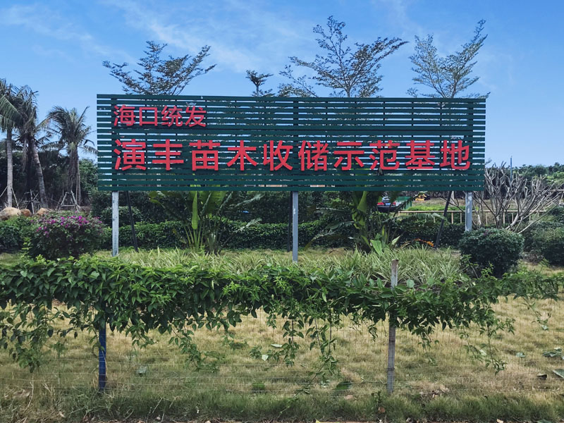 演豐苗木收儲示范基地