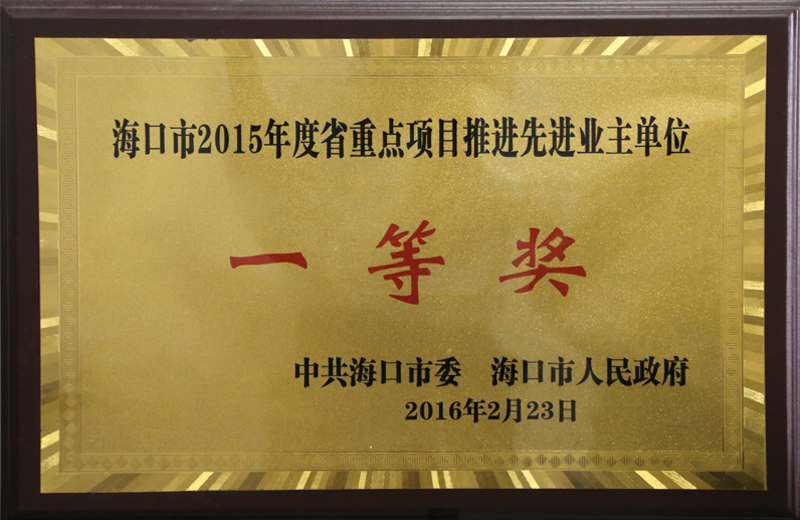 ?？谑?015年度省重點項目推進先進業主單位一等獎